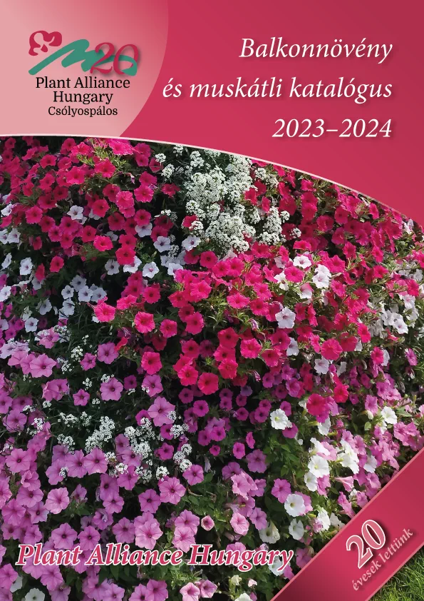Balkonnövény és muskátli katalógus 2023-24